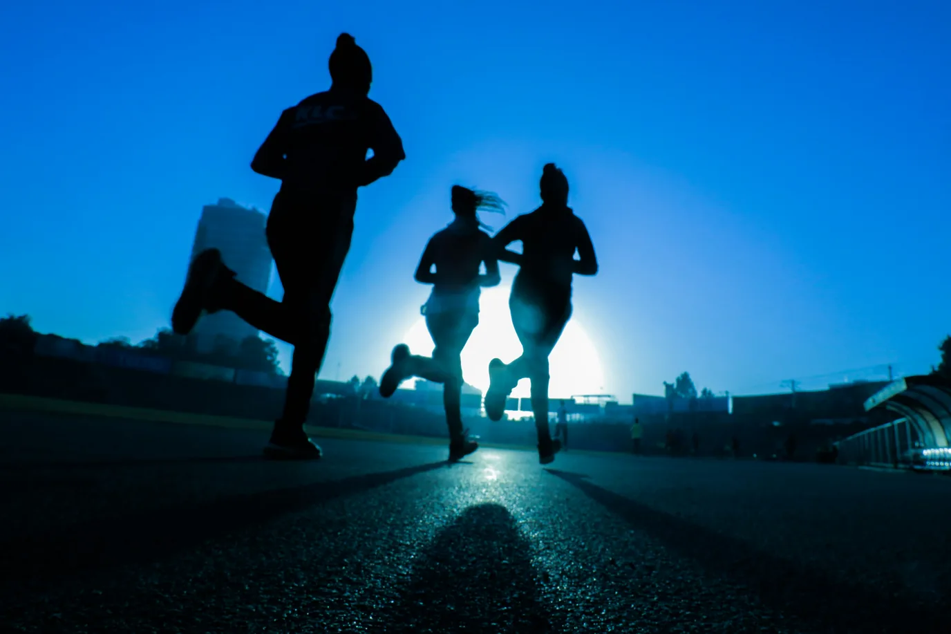 How could the fields of sports and fitness leverage cutting edge IT solutions, for long term success?