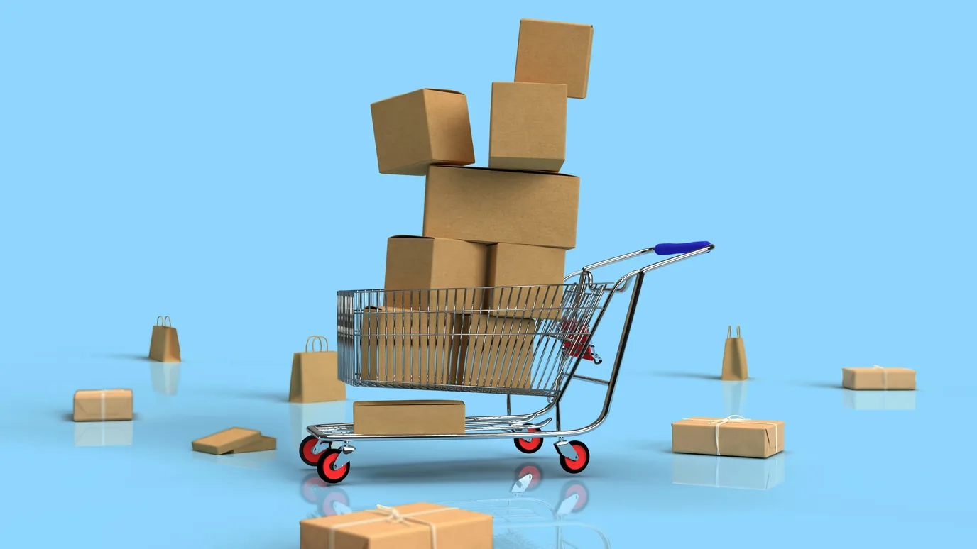How can e-commerce companies leverage the advantages of technology for their business growth potential?